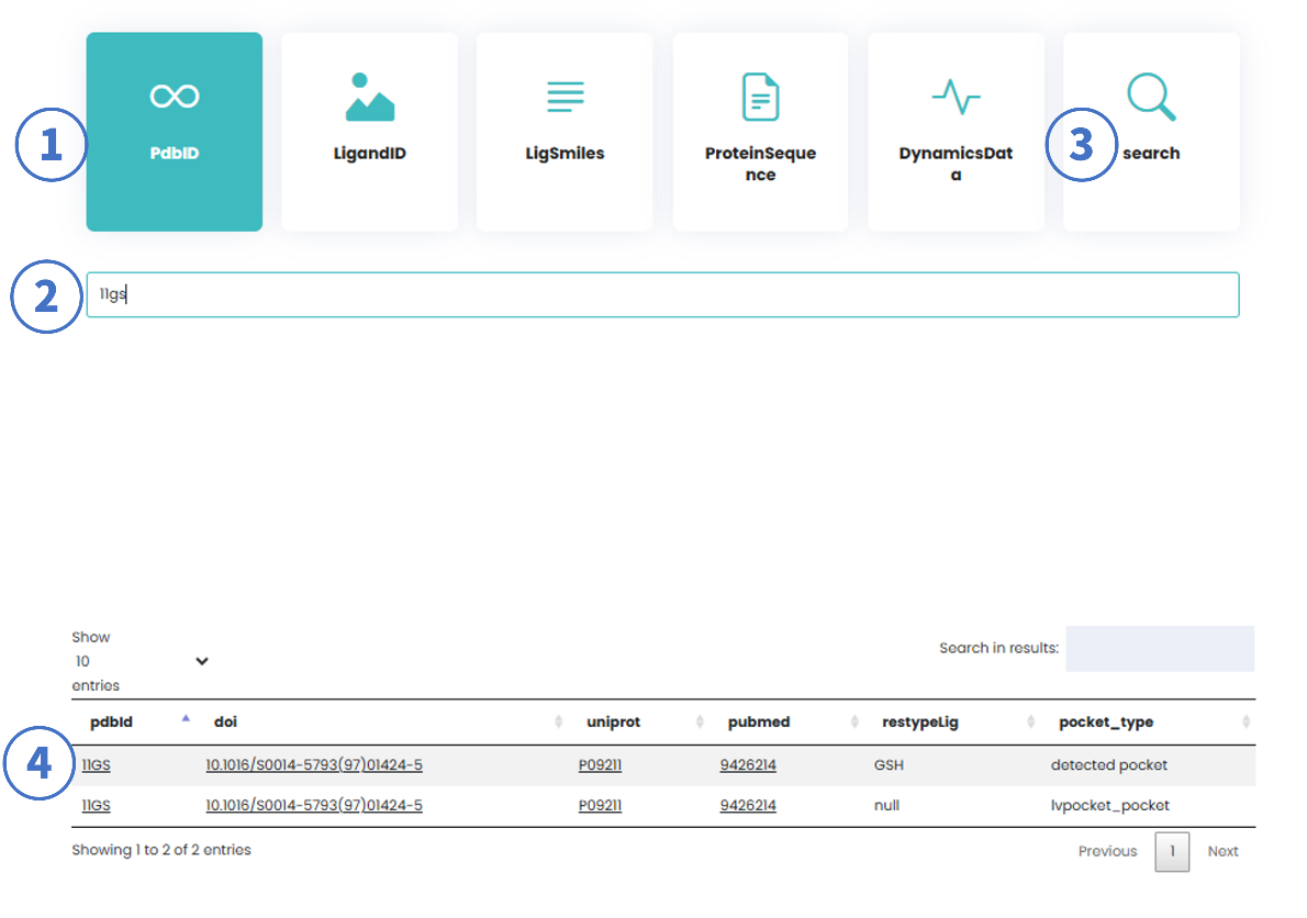 Search Interface